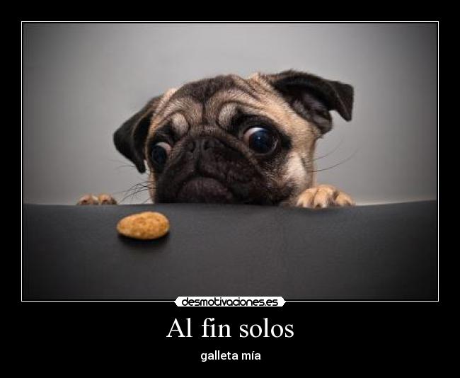 carteles nart desmotivaciones