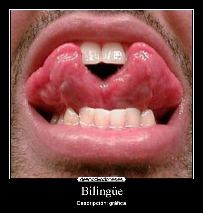 Bilingüe -