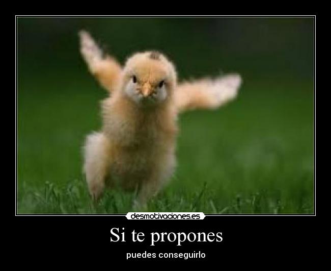 Si te propones - puedes conseguirlo