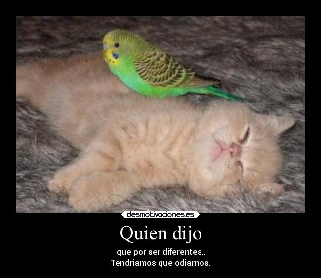 Quien dijo - que por ser diferentes..
Tendriamos que odiarnos.