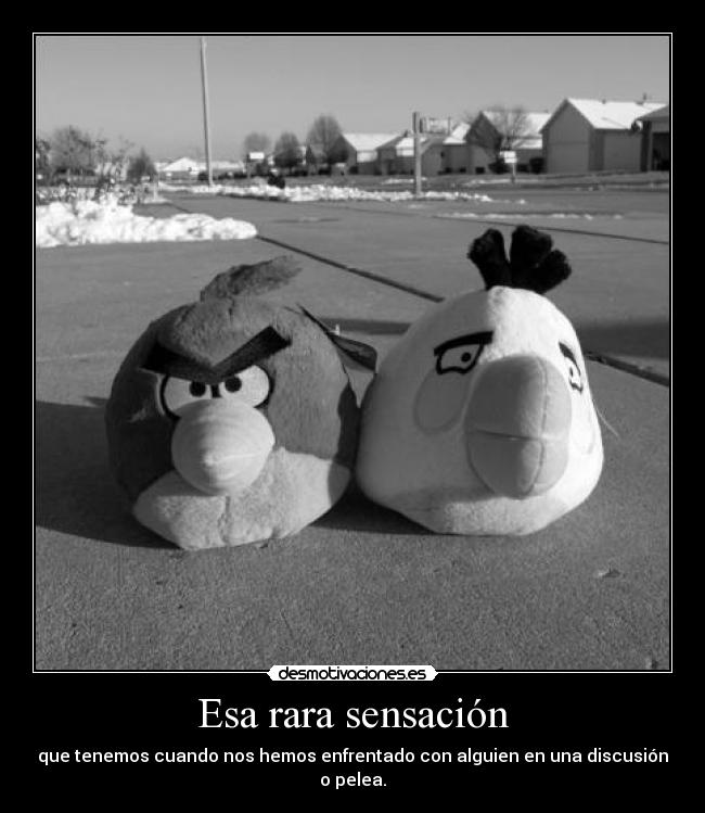 Esa rara sensación - que tenemos cuando nos hemos enfrentado con alguien en una discusión o pelea.