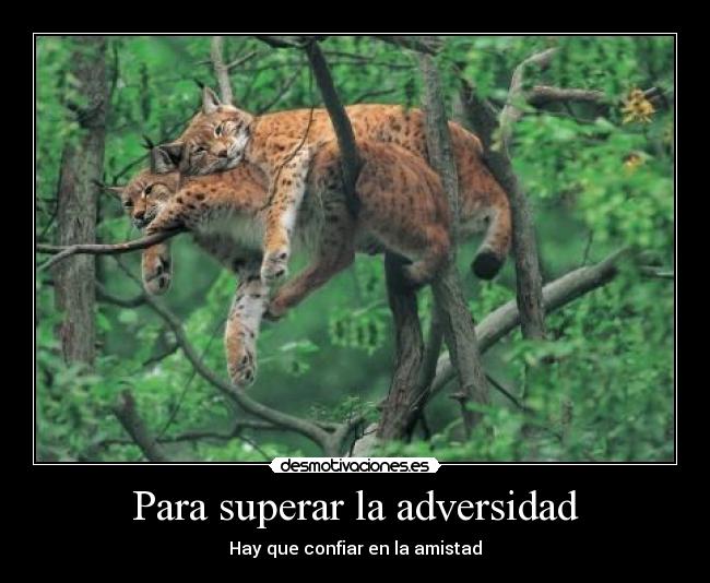 Para superar la adversidad - Hay que confiar en la amistad