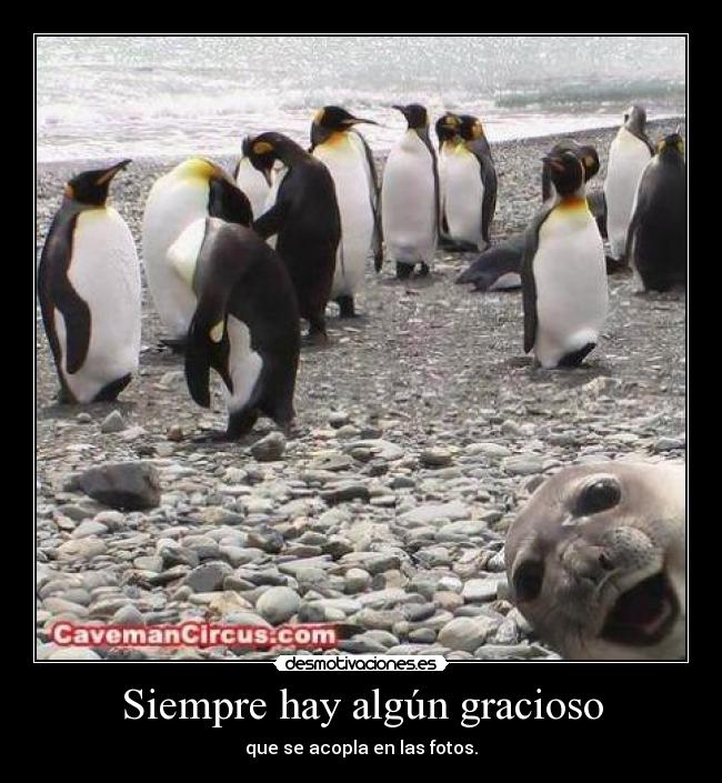 Siempre hay algún gracioso -