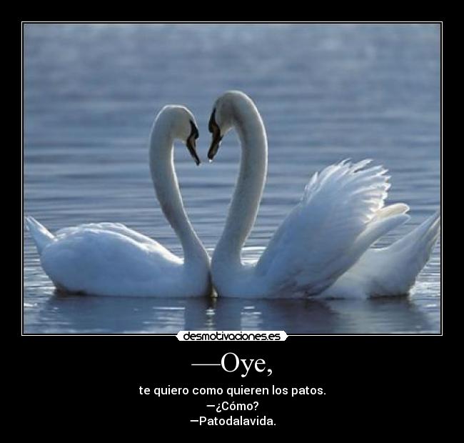 —Oye, - te quiero como quieren los patos.
—¿Cómo?
—Patodalavida.