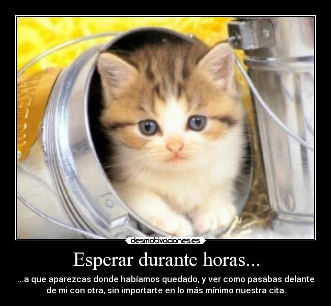 Esperar durante horas... - ...a que aparezcas donde habíamos quedado, y ver como pasabas delante
de mi con otra, sin importarte en lo más mínimo nuestra cita.