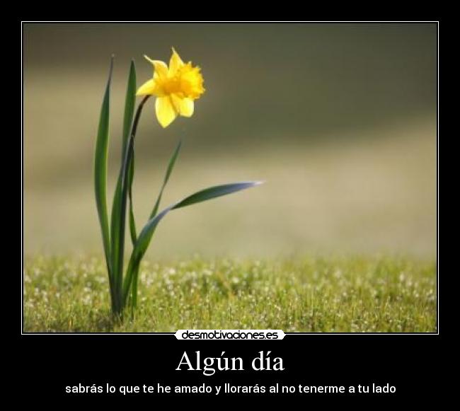 carteles yosport como siempre desmotivaciones