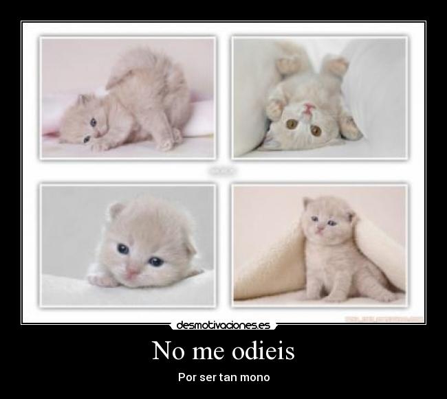 No me odieis -