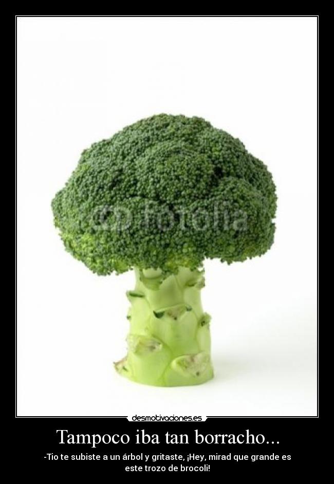 Tampoco iba tan borracho... - 