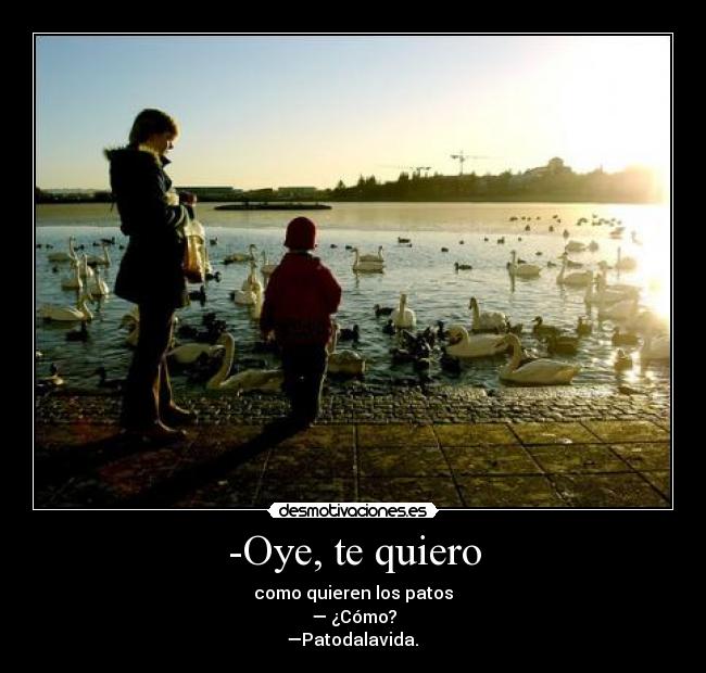 -Oye, te quiero - como quieren los patos
— ¿Cómo?
—Patodalavida. ♥