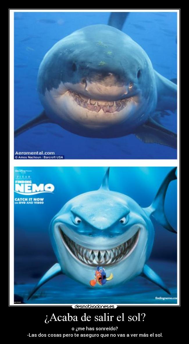 ¿Acaba de salir el sol? - o ¿me has sonreído?
-Las dos cosas pero te aseguro que no vas a ver más el sol.