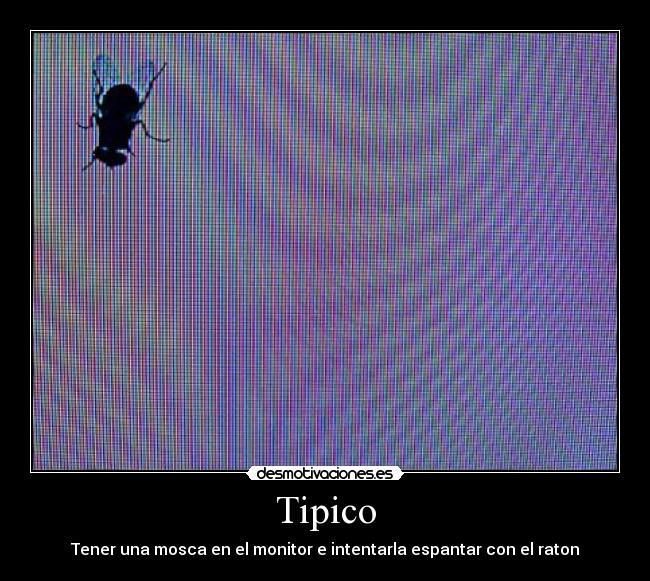 Tipico - Tener una mosca en el monitor e intentarla espantar con el raton