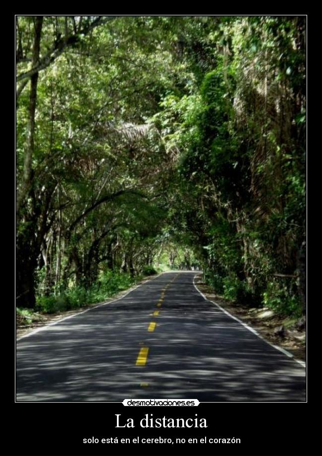 La distancia - solo está en el cerebro, no en el corazón