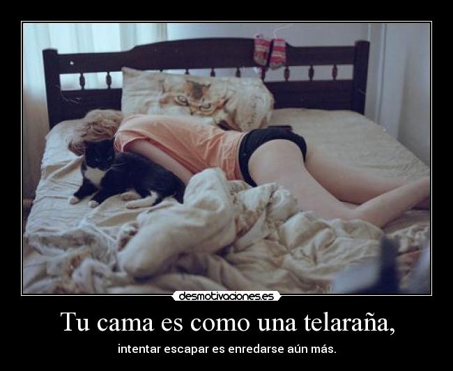 Tu cama es como una telaraña, -