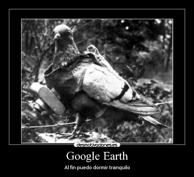 carteles fin puedo dormir tranquilo google earth desmotivaciones desmotivaciones