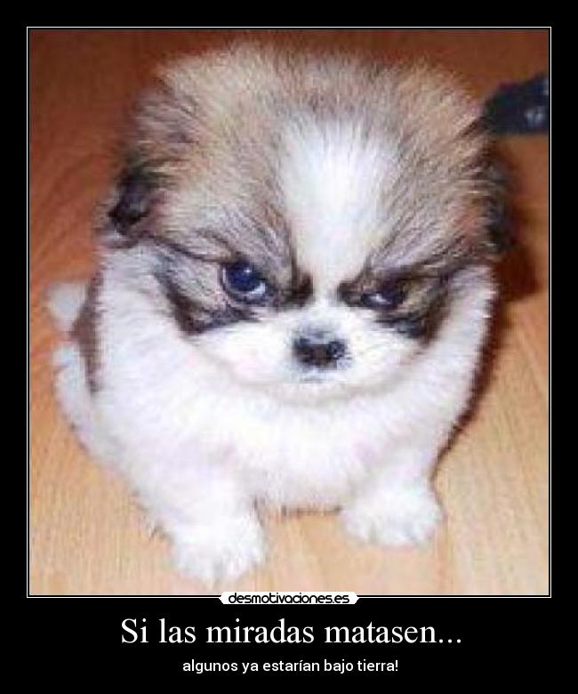 carteles las miradas matasen desmotivaciones