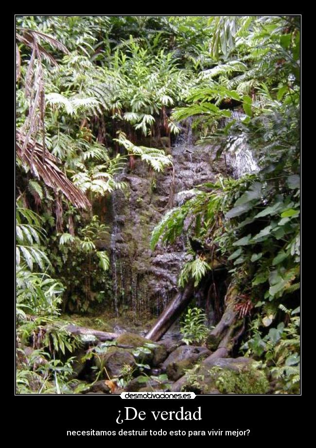 ¿De verdad - necesitamos destruir todo esto para vivir mejor?