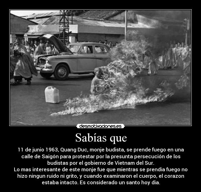 Sabías que - 11 de junio 1963, Quang Duc, monje budista, se prende fuego en una
calle de Saigón para protestar por la presunta persecución de los
budistas por el gobierno de Vietnam del Sur.
Lo mas interesante de este monje fue que mientras se prendia fuego no
hizo ningun ruido ni grito, y cuando examinaron el cuerpo, el corazon
estaba intacto. Es considerado un santo hoy dia.