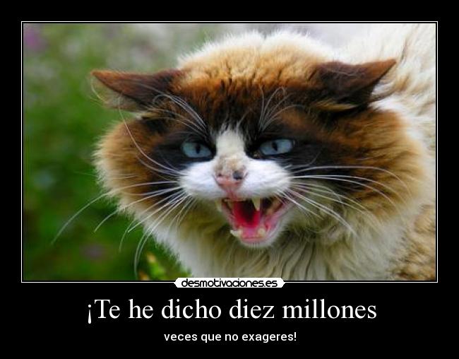 carteles lol quien esta exagerando desmotivaciones