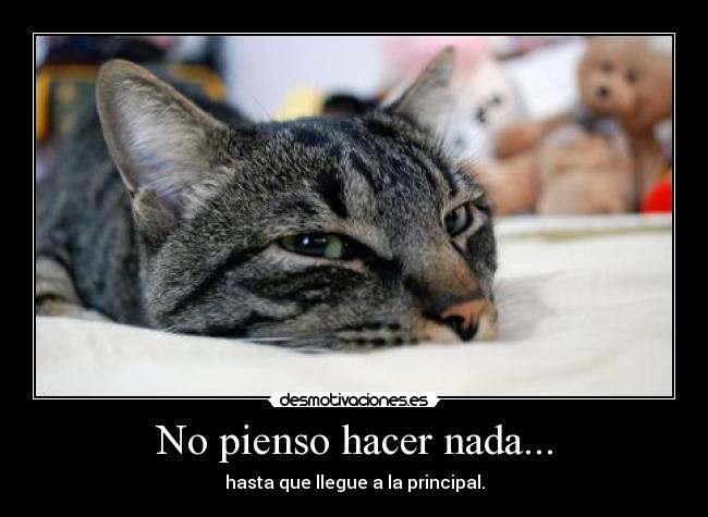No pienso hacer nada... - hasta que llegue a la principal.