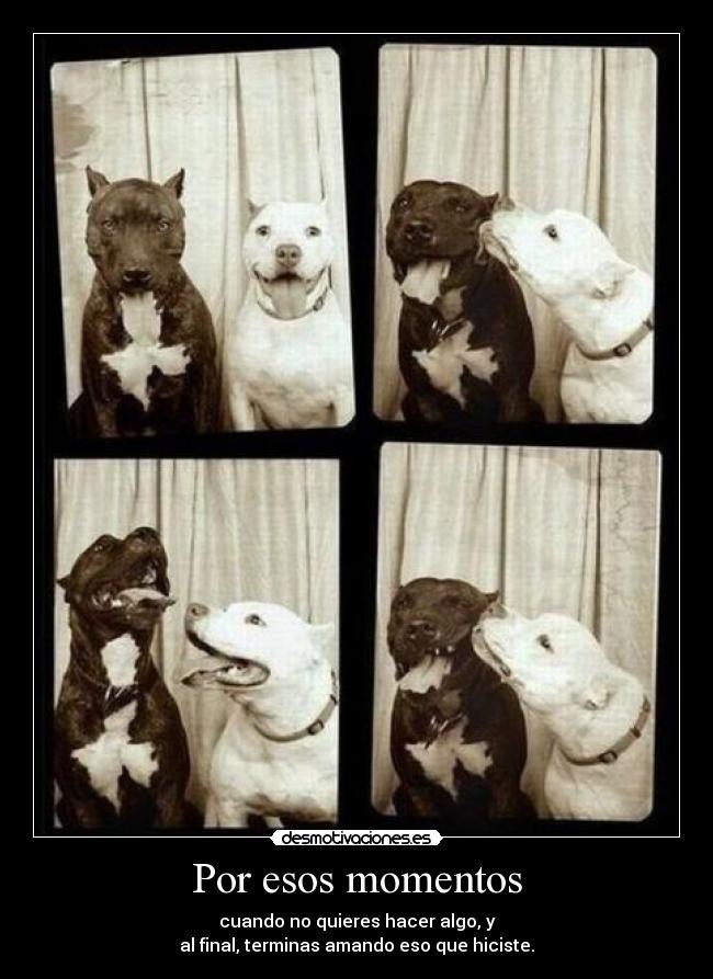 Por esos momentos - cuando no quieres hacer algo, y
al final, terminas amando eso que hiciste.