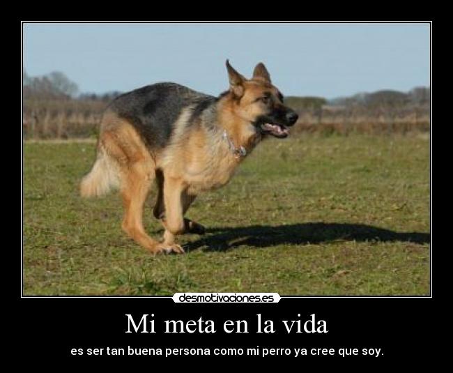 carteles vida meta vida desmotivaciones