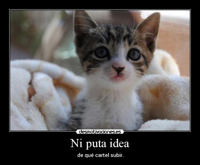 Ni puta idea -