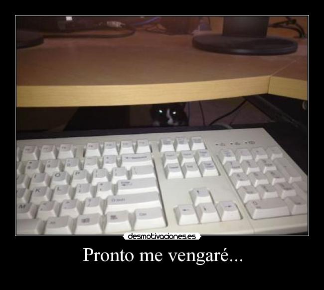 Pronto me vengaré... -