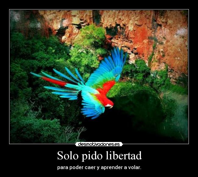 Solo pido libertad -