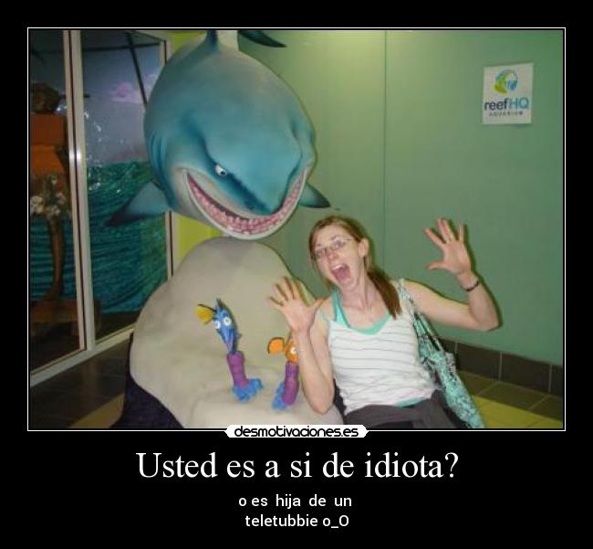 Usted es a si de idiota? -
