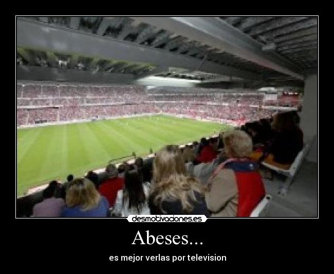 Abeses... - es mejor verlas por television