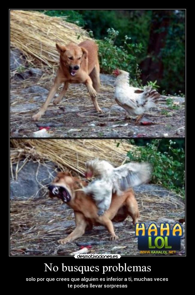 No busques problemas - solo por que crees que alguien es inferior a ti, muchas veces
te podes llevar sorpresas