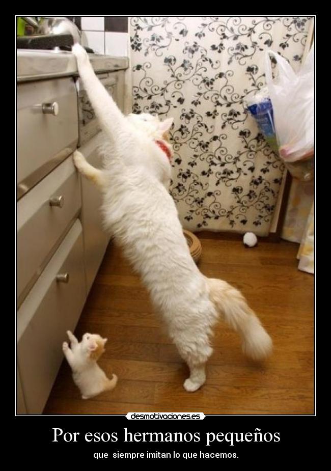 Por esos hermanos pequeños - que siempre imitan lo que hacemos.