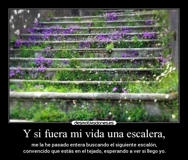 Y si fuera mi vida una escalera, - me la he pasado entera buscando el siguiente escalón,
convencido que estás en el tejado, esperando a ver si llego yo.