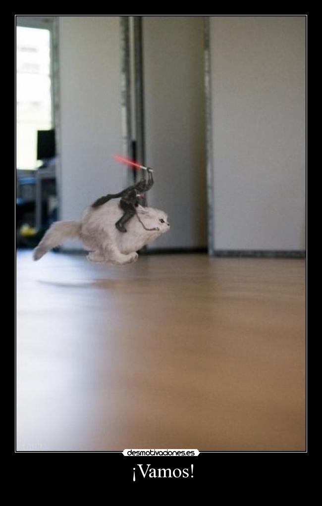 ¡Vamos! - 