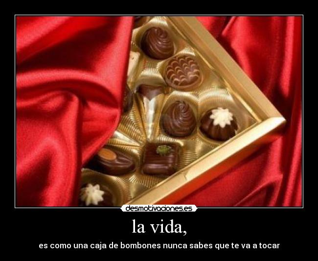 la vida, - es como una caja de bombones nunca sabes que te va a tocar