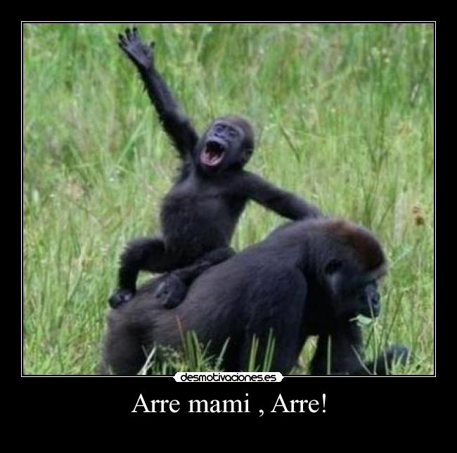 Arre mami , Arre! - 