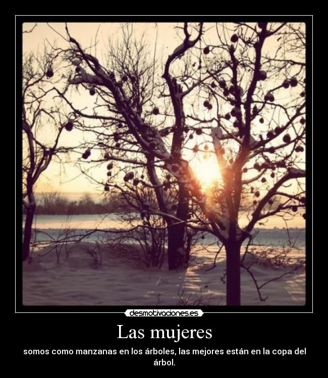 Las mujeres -