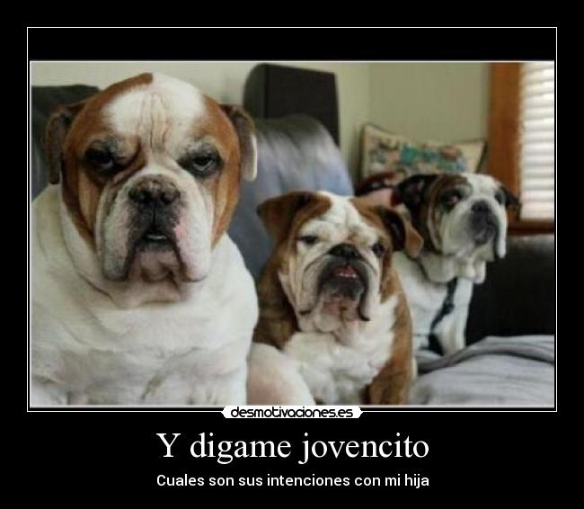 Y digame jovencito - Cuales son sus intenciones con mi hija