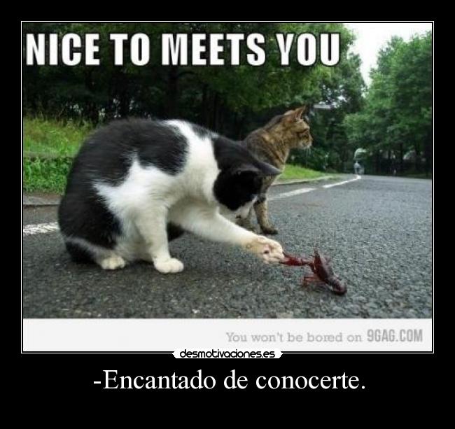 -Encantado de conocerte. -