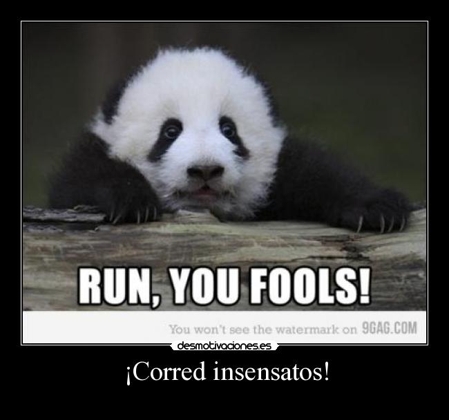 ¡Corred insensatos! -