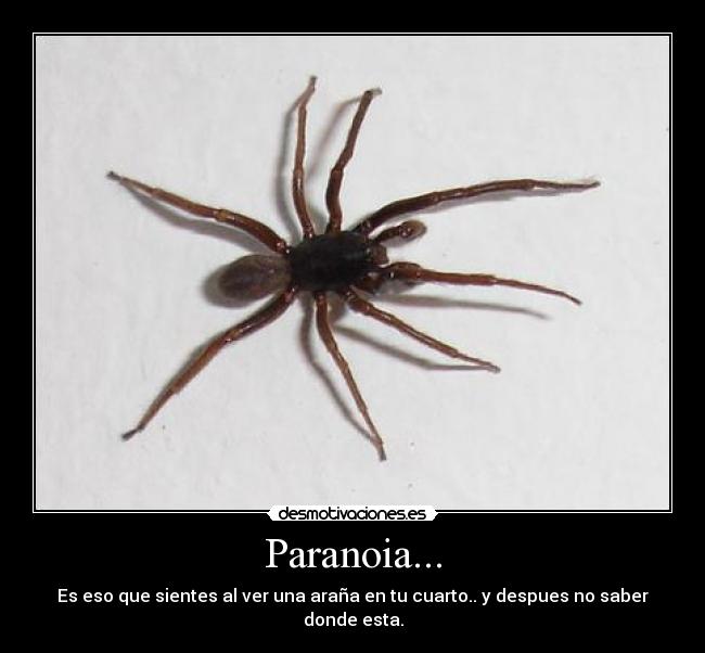 Paranoia... -