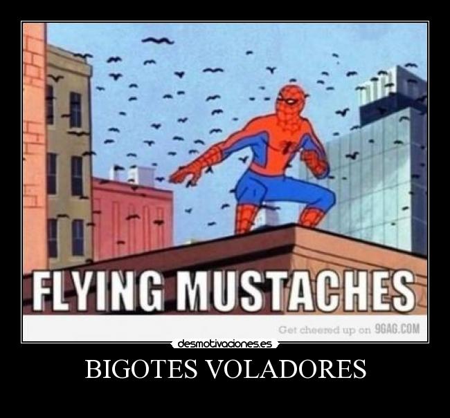 BIGOTES VOLADORES -