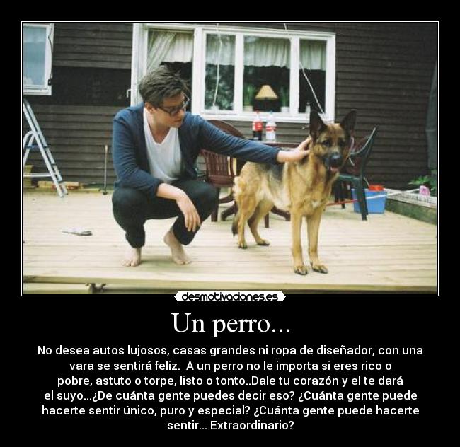 Un perro... -