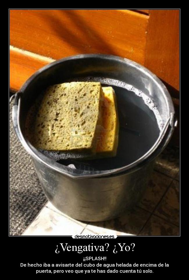 ¿Vengativa? ¿Yo? - ¡¡SPLASH!!
De hecho iba a avisarte del cubo de agua helada de encima de la
puerta, pero veo que ya te has dado cuenta tú solo.