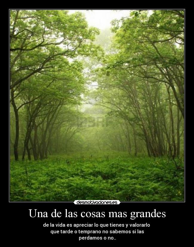 Una de las cosas mas grandes - de la vida es apreciar lo que tienes y valorarlo
que tarde o temprano no sabemos si las
perdamos o no..
