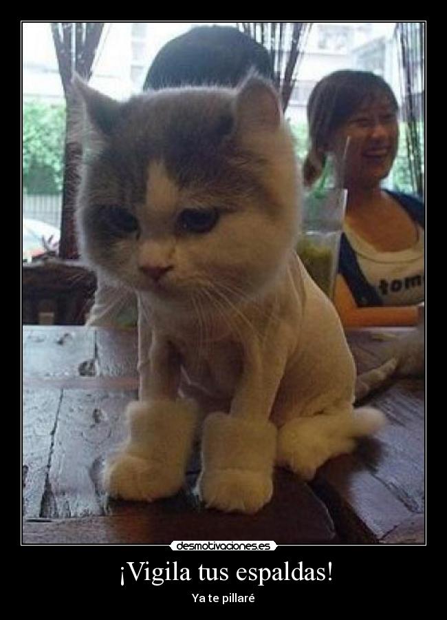 ¡Vigila tus espaldas! - Ya te pillaré