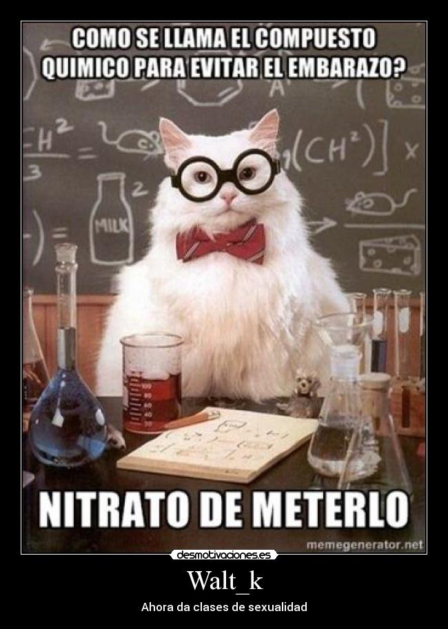 Walt_k - Ahora da clases de sexualidad