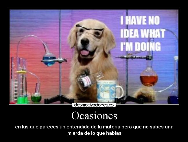 Ocasiones - 