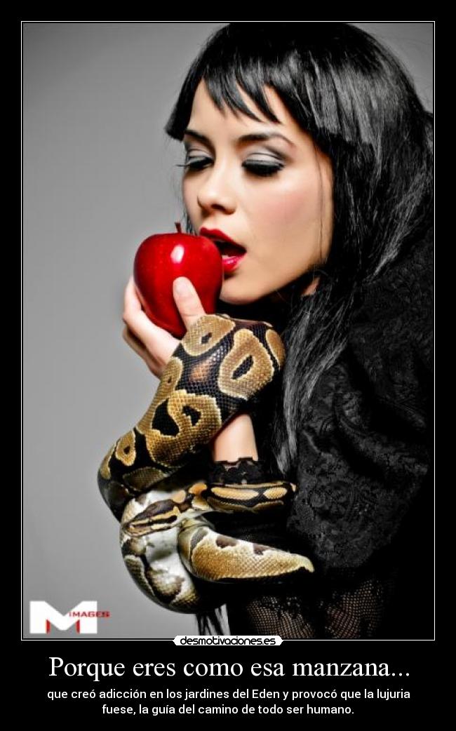 carteles sentimiento desmotivaciones