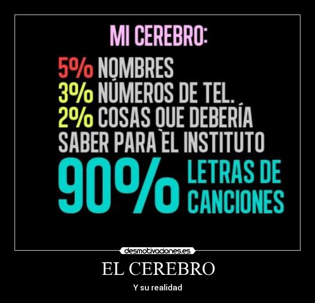 EL CEREBRO - Y su realidad